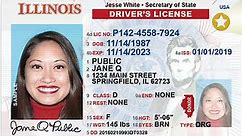 Illinois REAL ID Requirements: What You Need To Know