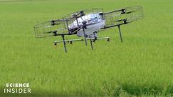 How Japan Is Reshaping Its Agriculture By Harnessing Smart-Farming Technology