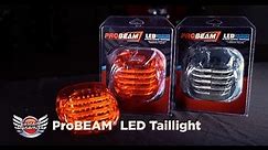 How To Install ProBEAM LED Tail Light for Harley Davidson Motorcycles 🔧