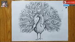how to draw a peacock step by step in easy pencil sketch drawing for kids ,peacock drawing