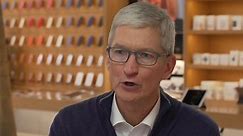 Apple CEO calls Bloomberg report '100% false'