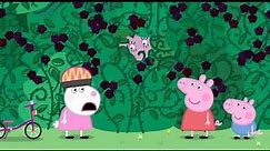 Peppa Pig S03E46 The Blackberry Bush | Peppa Pig English Episodes