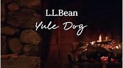 The L.L. Bean Yule Dog