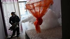 ¿Qué está pasando con el dengue en América y cómo protegerse?