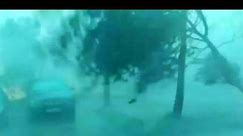 One of the most powerful microbursts caught on camera; trees snapped like matchsticks.