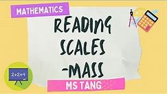 Reading Scales - Mass