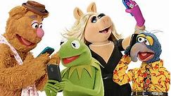 The Muppets: Season 1 Episode 16 Because...Love