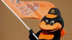 Make-A-Wish makes teen Orioles coach for a day