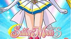 Sailor Moon SuperS (Original Japanese) Season 4, Volume 1 Episode 134 The Girl Who Admired Pegasus