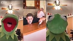 Best Funny KermitOnTikTok Videos Compilation On TikTok 2021