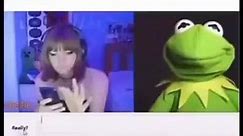 kermit the frog chatting with an internet girl