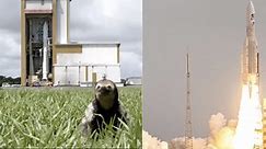 Sloth Steals Spotlight After Making A Short Cameo During A Rocket Launch To Jupiter