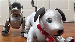 Aibo Robot Pet Dog | All Of Its Engineering SECRETS!