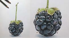 Blackberry Drawing in Color Pencils | Blackberry Drawing | Fruit Drawing