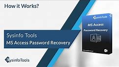 SysInfo Tools Access Password Recovery Tool
