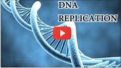 DNA Replication Animation - Super EASY
