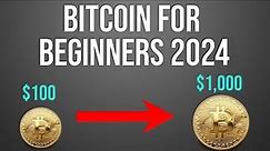 Bitcoin Cryptocurrency For Beginners 2024