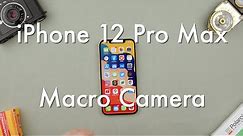 How to Use Macro on the iPhone 12 Pro Max || Apple iPhone 12 Pro Max