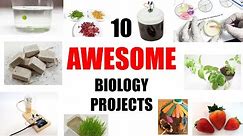 10 Awesome Biology Science Projects