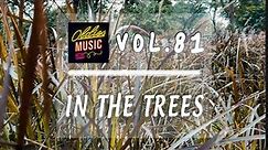 In The Trees | Sunny Soundscapes: Dive into Good Vibes | Vol 81