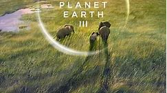 Planet Earth III: Season 1 Episode 101 Trailer