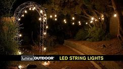 Luminar 24 Ft. 12 Bulb Outdoor LED String Lights | Harbor Freight