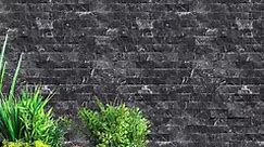 Chakwal Stone Wall Tiles Design Price Lahore Pakistan Home Delivery Service All Pakistan Chakwal Stone Wall Tiles Design Price Lahore Pakistan Home Delivery Service All Pakistan #tileshop #tilestore #tileshowroom #tilescolors #tiles #tilesdesign #naturalclayindustry #khaprailtiles #khaprail #khaprailtile #rooftiles #clayrooftiles #kagantiles #outdoortiles #Exteriortiles #terracottafloortiles #bathoomtiles #kitchentiles #kitchenwalltiles #kitchenfloortiles #kitchentilesprice #amazon #olx #pakclay