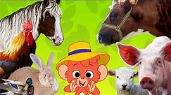 Learn Farm Animals Names and Sounds | Real Farm Animal video for Children | Club Baboo