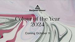 Colour of the Year and Colour Trends 2024 is Coming | Benjamin Moore