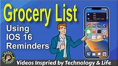 How to make Grocery List in iPhone | Grocery List in Apple Reminders IOS 16 | Quest for Answers