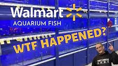 Remember WALMART Aquarium Fish? WTF Happened?