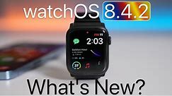 watchOS 8.4.2 is Out! - What's New?