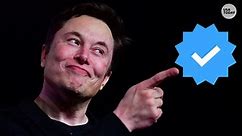 Elon Musk officially owns Twitter. Here's what could happen next.