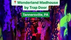 A thrilling escape room meets mini golf and a whimsical cocktail bar at Wonderland Madhouse by Trap Door! We have a peek inside the immersive Alice in Wonderland-themed experience at the Pocono Premium Outlets in Tannersville. 🐇 #DiscoverNEPA | DiscoverNEPA
