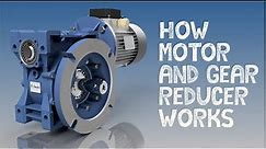 Motovario worm gear Reducer | How does Motor and Gear Reducer Works