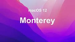 macOS Monterey | Universal Control, Focus, App Updates