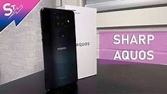 Hands On with the Sharp Aquos Sense 4 Plus