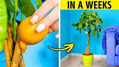 Gardening Hacks: Useful Tips and Tricks for Plant Lovers 