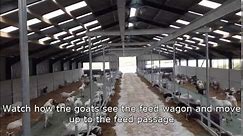 Automatic feeding - A goats eye view