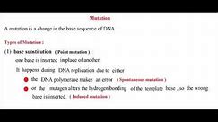 Genetics Part 3 Types of Mutation