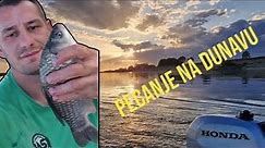 Feeder pecanje na Dunavu iz čamca - DUBOVAC