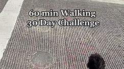 30 Day Walking Challenge ✨#30daychallenge #walkingchallenge #weightloss #goals2023