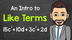 An Intro to Like Terms | What are Like Terms in Algebraic Expressions? | Math with Mr. J