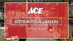 Ace Distribution Careers – Why Ace