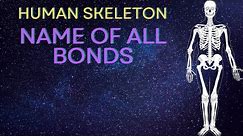 Human Skeleton/ Learn To All Types Of Bonds Name ❤