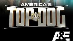 America's Top Dog: Season 3 Episode 2 Can't Keep a Good Dog Down