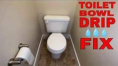 How to fix a dripping toilet - water leaking inside bowl