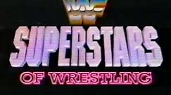 WWF Superstars Of Wrestling - November 10, 1990