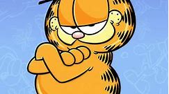 Garfield and Friends: Season 2 Episode 25 Lemon Aid/Video Airlines