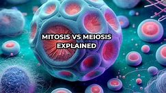 Understanding Cell Division: Mitosis vs. Meiosis Explained